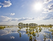 Nature in South Estonia by Arne Ader
